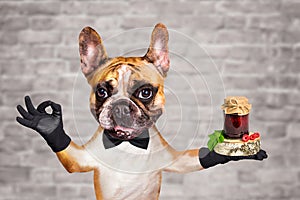 Funny dog red french bulldog waiter in a black bow tie hold jam in a glass jar and show a sign approx. Animal on brick wall