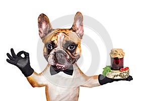 Funny dog red french bulldog waiter in a black bow tie hold jam in a glass jar and show a sign approx. Animal isolated on white