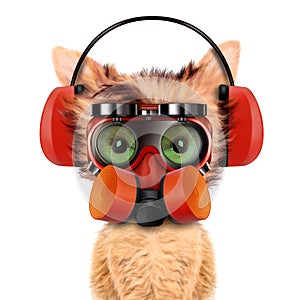 Funny dog with respirator isolated on white