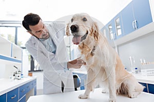 Funny dog sitting on the table in clinic