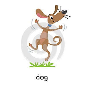 Funny dog vector illustration. Farm animals series
