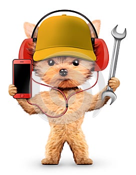 Funny dog with wrench and smartphone