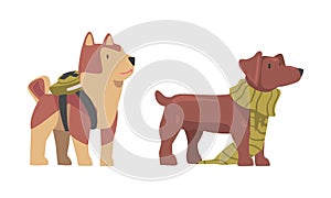 Funny dogs wearing scarf and backpack set. Cute pets dressed for carnival party cartoon vector illustration