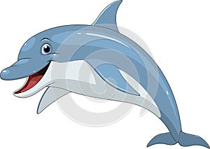 Funny dolphin fun