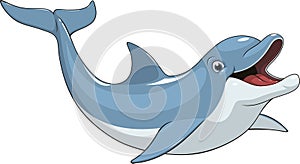 Funny dolphin fun