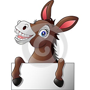 Funny donkey with blank sign