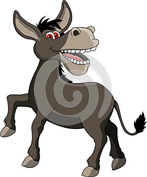 Funny donkey cartoon