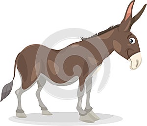 Funny donkey cartoon illustration