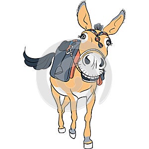 Funny donkey with a saddle