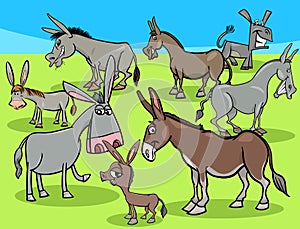 Funny donkeys cartoon farm animals group