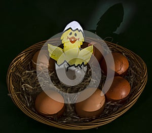 A funny drawn chick hatches out of the egg in a basket of real eggs in the straw