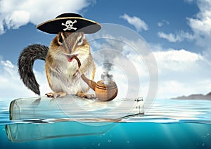 Funny drifting animal pirate, chipmunk with filibuster hat