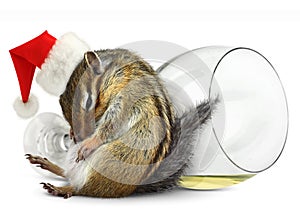 Funny drunk chipmunk dress santa hat