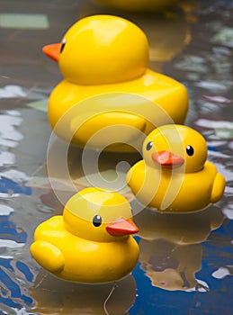 Funny duck toy in the blue clean pool background