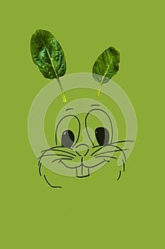 Funny easter bunn made of green spinach leaves as a ears, isolated on green background