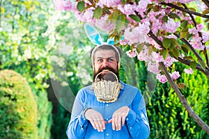 Funny Easter egg hunt. Humorous series of a man in bunny suit. Good for Easter or ironic situations.