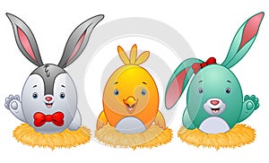 Funny easter eggs with rabbit ears in the nest