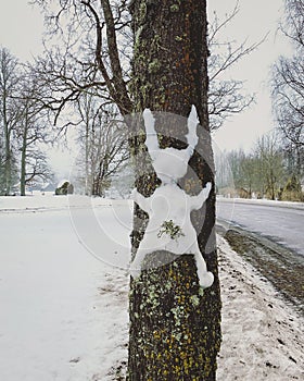 Funny Easter joke. An Easter bunny made of snow, which is struck by a tree with its face