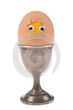Funny egg on white background