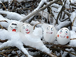 Funny eggs. Faces on eggs. Eggs in a winter scenery