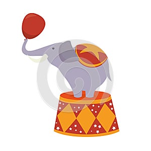 funny elephant circus icon