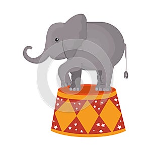 funny elephant circus icon