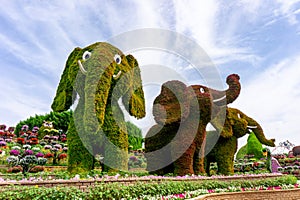 funny elephant mammut shaped cutted bushes in a garden wirh flowers