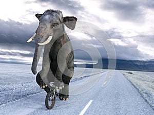 Funny Elephant Riding Bike, Bicycle, Surreal