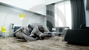 funny elephant sleeping in room. Realistic 4k animation.