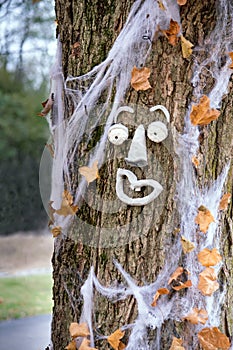 Funny face on a fall tree