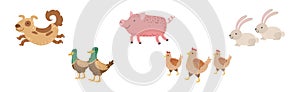 Funny Farm Animal and Domestic Livestock Vector Set