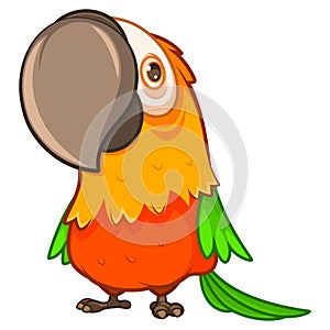 Funny fat orange parrot with a large beak