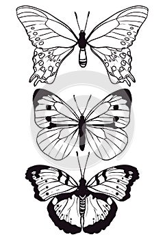 Funny female panties pattern of different kinds.