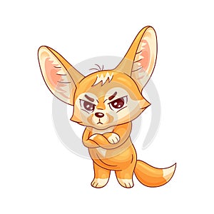 Funny fennec fox  looking severely