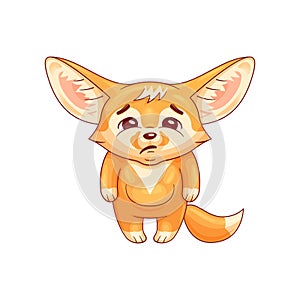 Funny fennec fox  looks with sadness