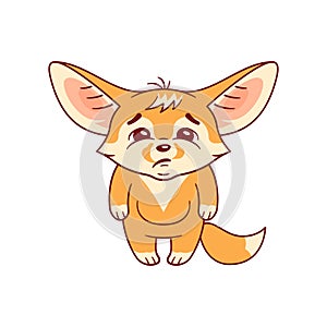 Funny fennec fox  looks with sadness