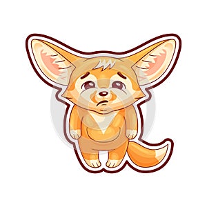 Funny fennec fox  looks with sadness