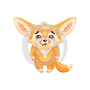 Funny fennec fox  looks with sadness