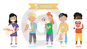 Funny five Senses concept with human organs