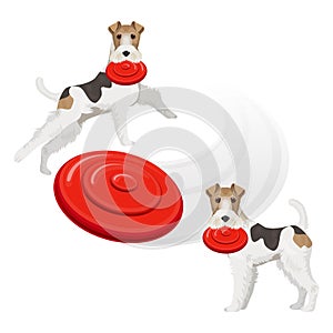 Funny fox terrier dog with red frisbee in teeth photo