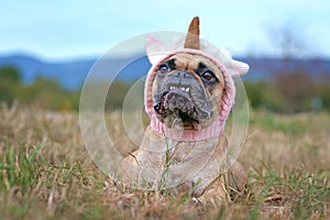 Funny French Bulldog dog with cute overbite lying down wearing knitted unicorn hat Halloween costume