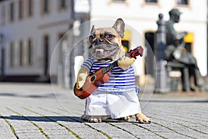 Funny French Bulldog dog dressed up as street perfomer musician wearing a costume with striped shirt and fake arms holding guitar photo