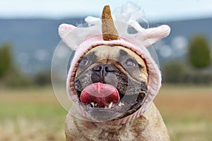 Funny French Bulldog dog with huge tongue sticking out wearinga pink unicorn hat costume
