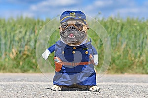 Funny French Bulldog dog in police officer costume with fake arms