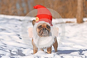 Funny French Bulldog dog wearing Christmas santa hat costume with beard in snow