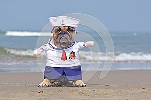 Funny French Bulldog dressed up with cute sailor dog Halloween costume on beach with ocean in background photo