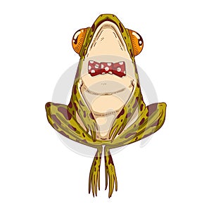 A funny frog in a bowtie, isolated vector illustration. Calm cartoon froglet, with its legs bent