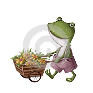 Funny frog in the garden with cart and flowers, watercolor style illustration, summer clipart with cartoon character