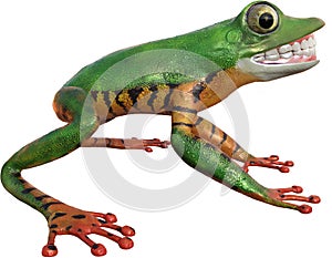 Funny Frog, Smile, Teeth, Isolated