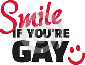 Funny gay slogan - smile if you are gay photo